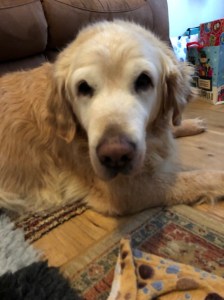 UNADJUSTEDNONRAW_thumb_6ba0