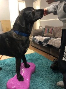 UNADJUSTEDNONRAW_thumb_6c68