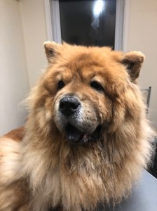 UNADJUSTEDNONRAW_thumb_6d6e